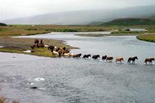 Iceland-Northern Tours-Northern Elves Trail